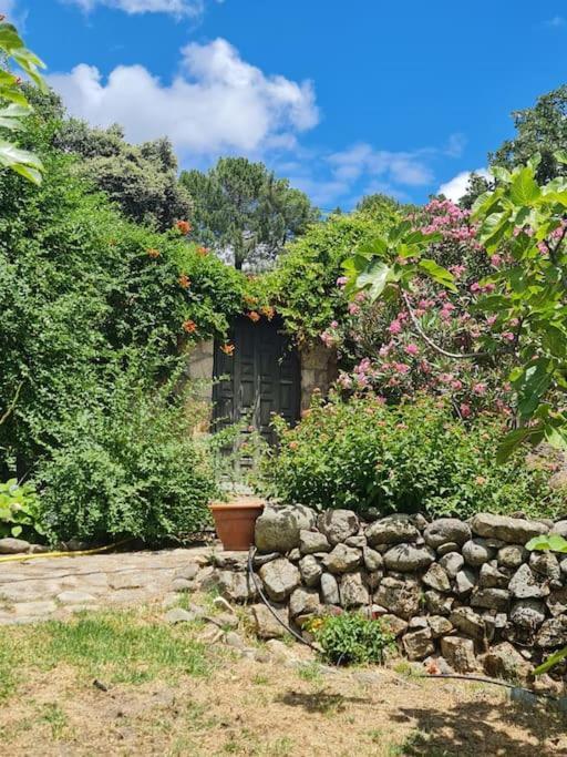 Casa Rural En Candeleda Con Piscina Y Un Maravilloso Jardin Εξωτερικό φωτογραφία