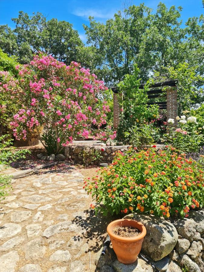 Casa Rural En Candeleda Con Piscina Y Un Maravilloso Jardin Εξωτερικό φωτογραφία