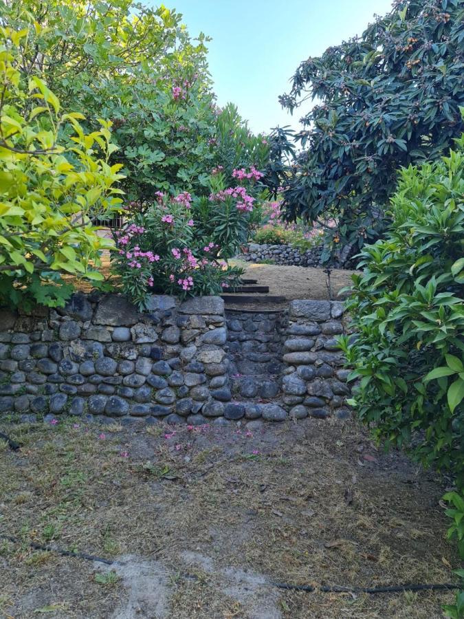 Casa Rural En Candeleda Con Piscina Y Un Maravilloso Jardin Εξωτερικό φωτογραφία