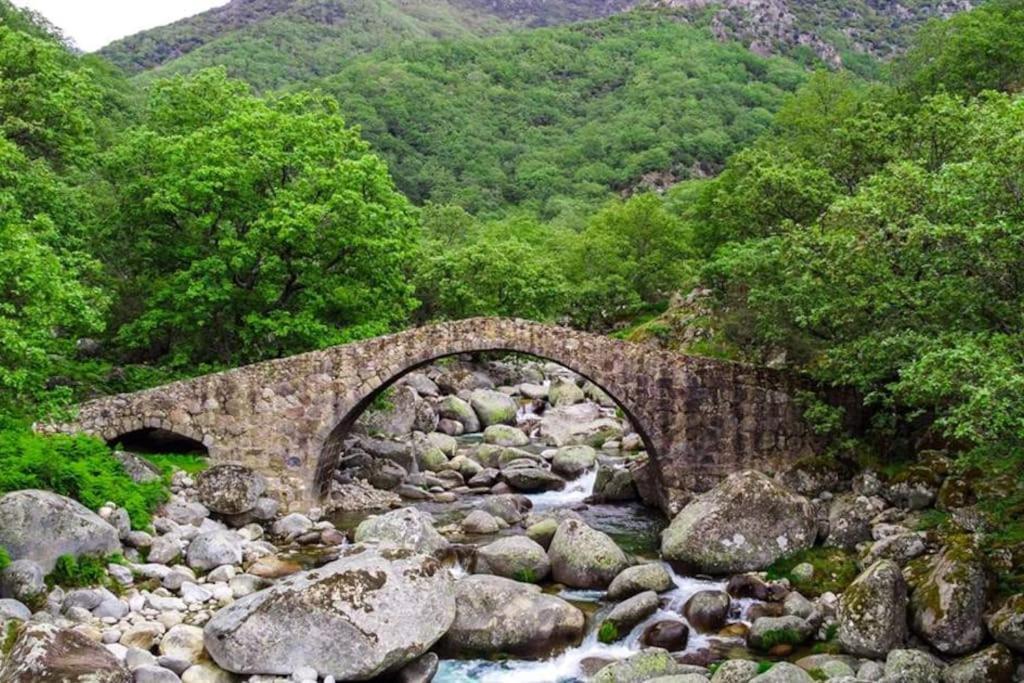 Casa Rural En Candeleda Con Piscina Y Un Maravilloso Jardin Εξωτερικό φωτογραφία