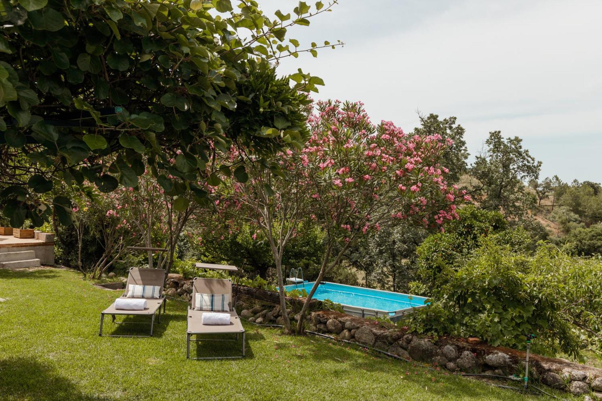 Casa Rural En Candeleda Con Piscina Y Un Maravilloso Jardin Εξωτερικό φωτογραφία