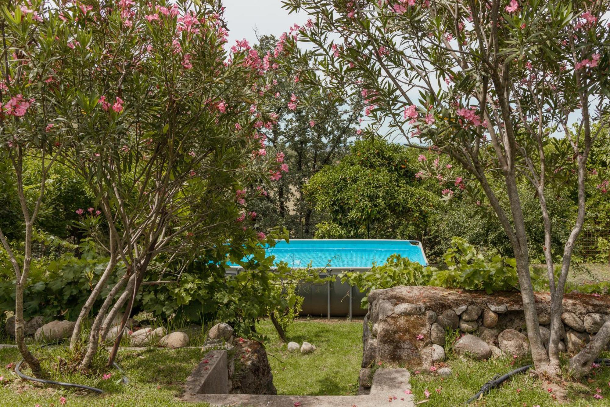 Casa Rural En Candeleda Con Piscina Y Un Maravilloso Jardin Εξωτερικό φωτογραφία