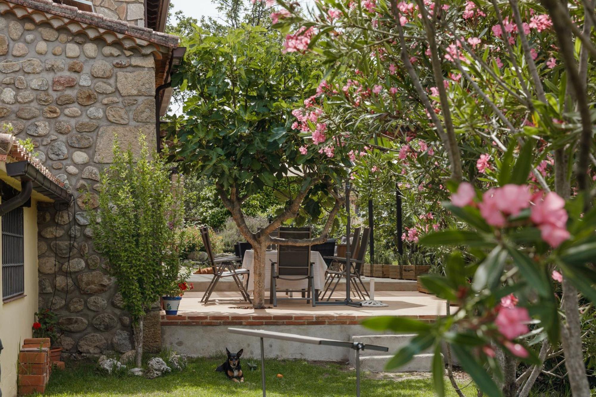 Casa Rural En Candeleda Con Piscina Y Un Maravilloso Jardin Εξωτερικό φωτογραφία